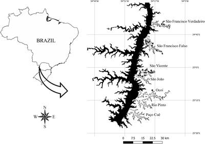 Association Between the Success of an Invasive Macrophyte, Environmental Variables and Abundance of a Competing Native Macrophyte